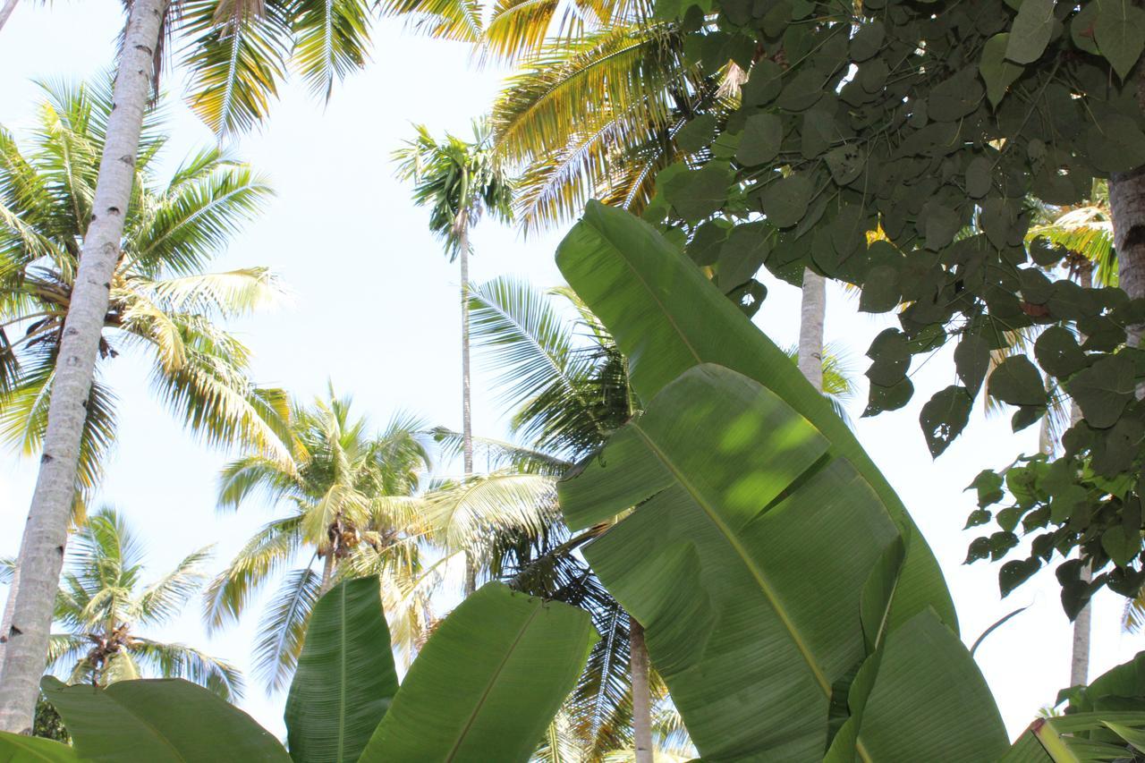 The Exotic Marigold Hotel Varkala Buitenkant foto
